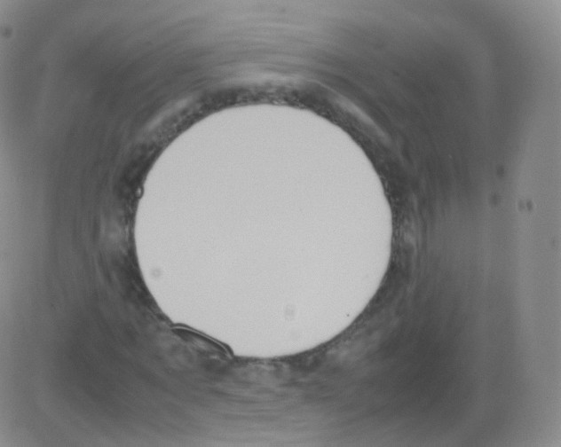 X0000082690869200702232202