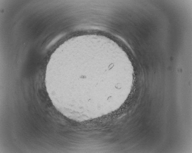 X0000082690871200702232202