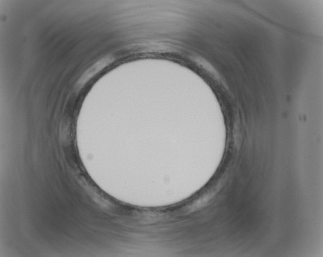 X0000082690873200702232202