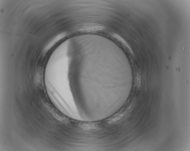 X0000082690874200702232201