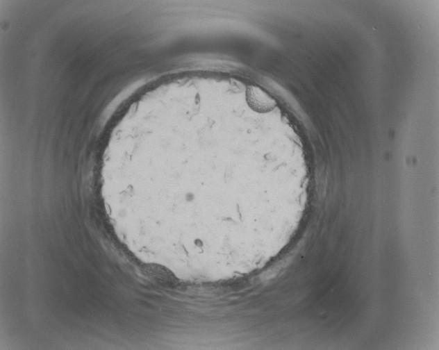 X0000082690875200702232201