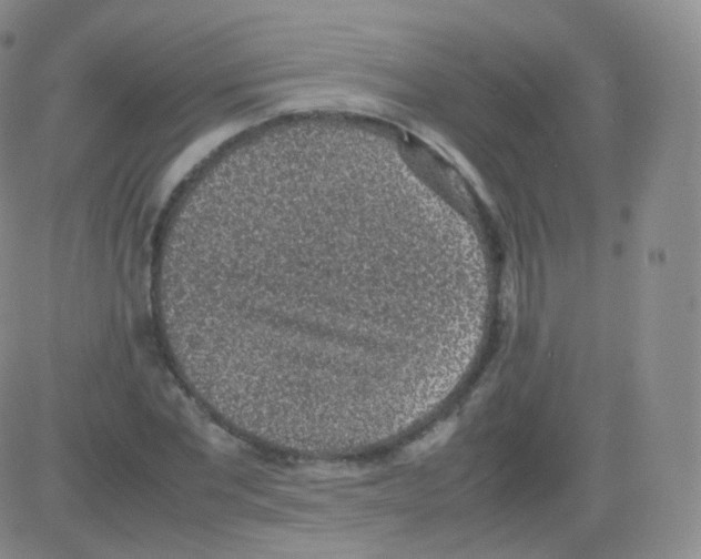 X0000082690877200702232201