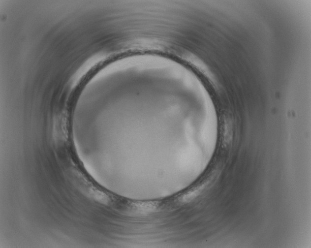 X0000082690878200702232201