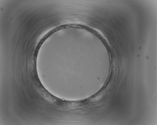 X0000082690879200702232201