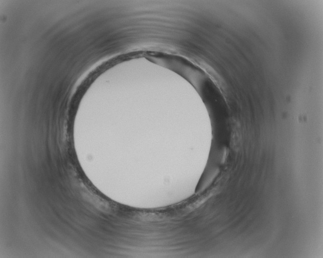 X0000082690880200702232201