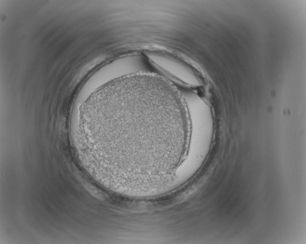 X0000082690881200702232201