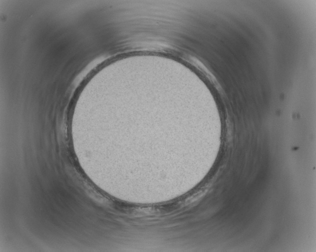 X0000082690883200702232201