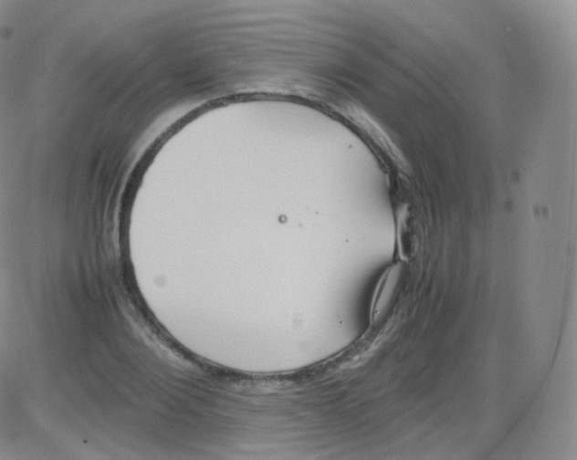 X0000082690884200702232201