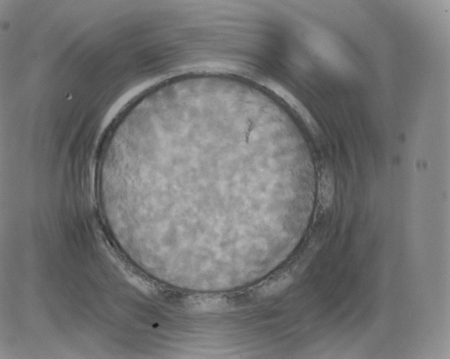 X0000082690886200702232201