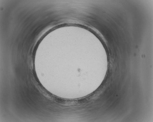 X0000082690887200702232201