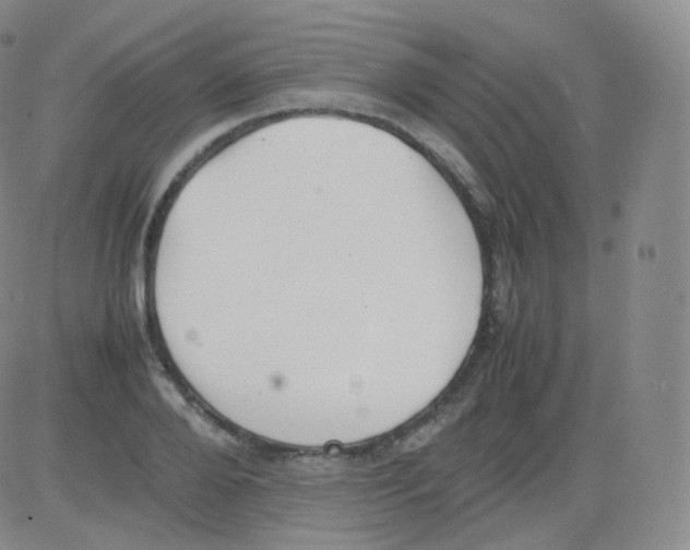 X0000082690888200702232201