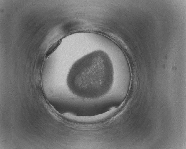 X0000082690889200702232201