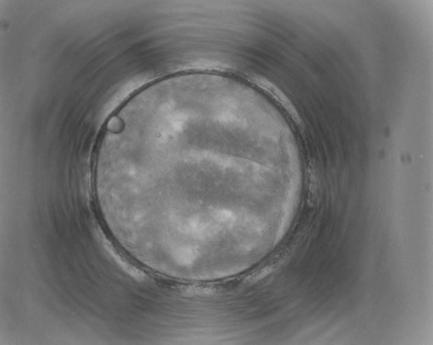 X0000082690890200702232201