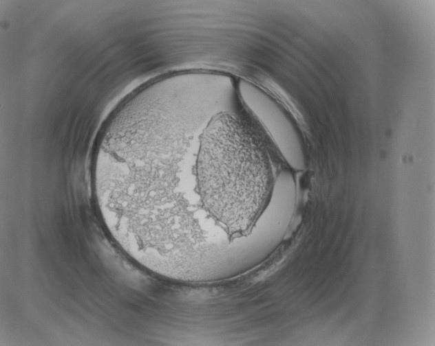 X0000082690892200702232201