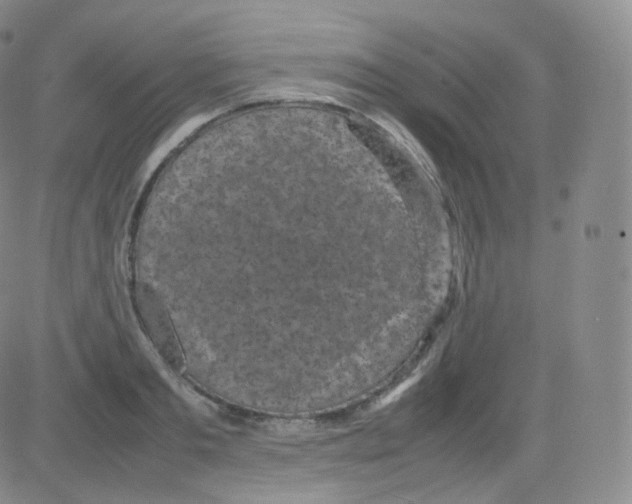 X0000082690893200702232201