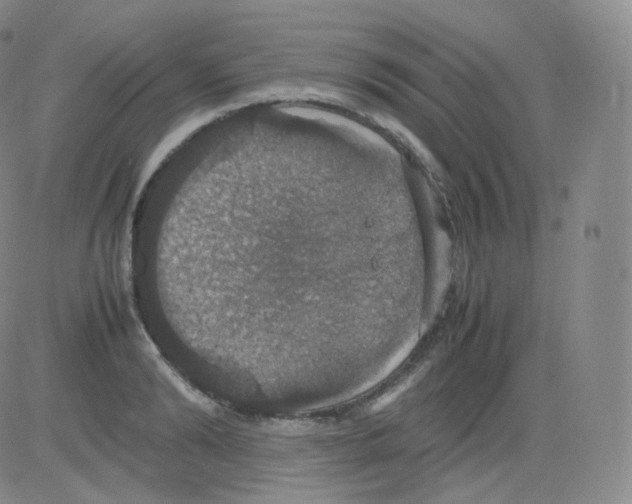 X0000082690894200702232201