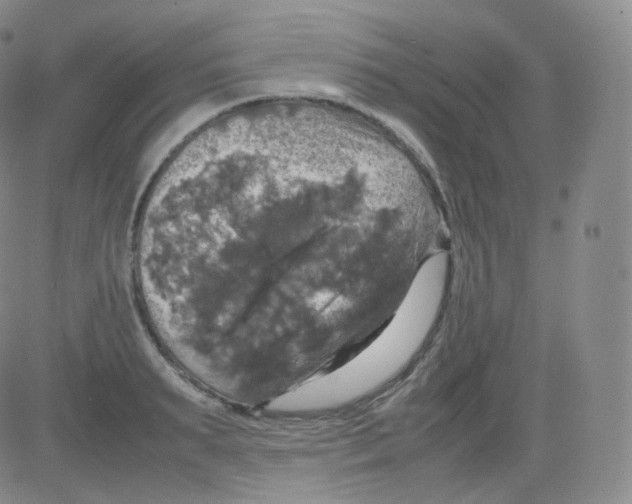 X0000082690895200702232201