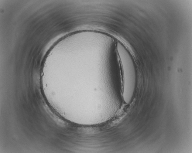 X0000082690896200702232201