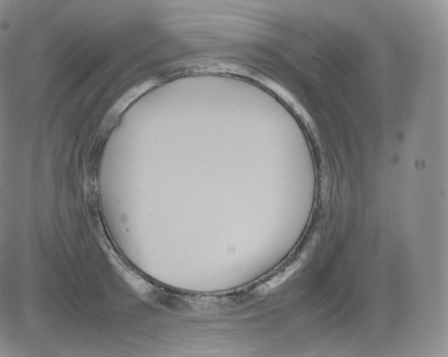 X0000082690897200702232201