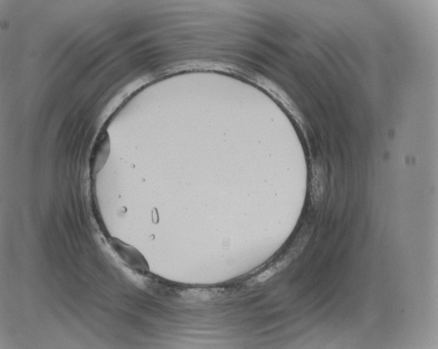 X0000082690898200702232201