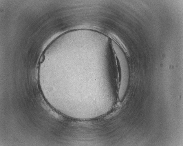 X0000082690900200702232201