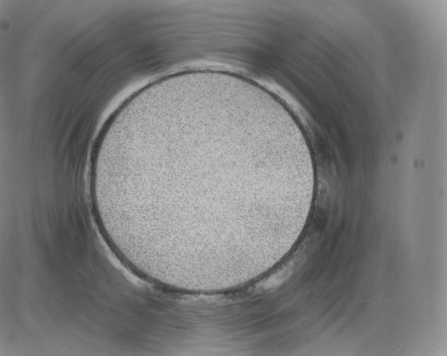 X0000082690902200702232201