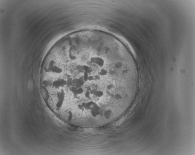 X0000082690903200702232201