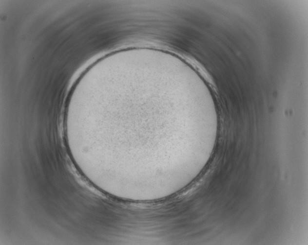 X0000082690904200702232201