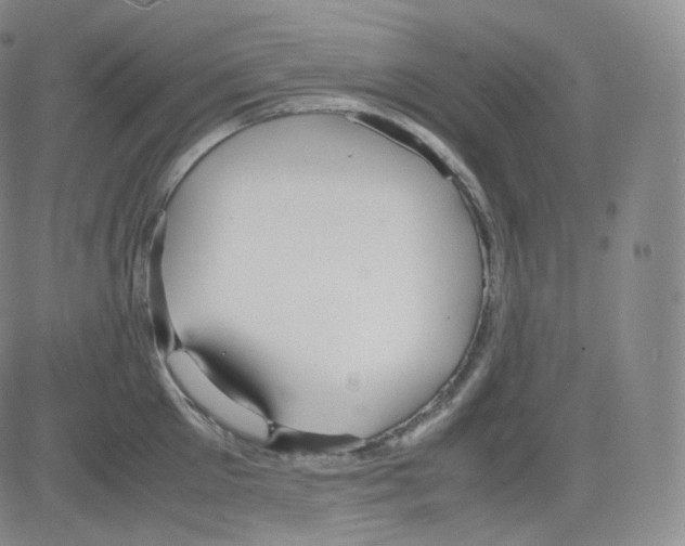 X0000082690905200702232201