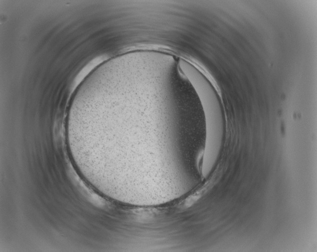 X0000082690906200702232201