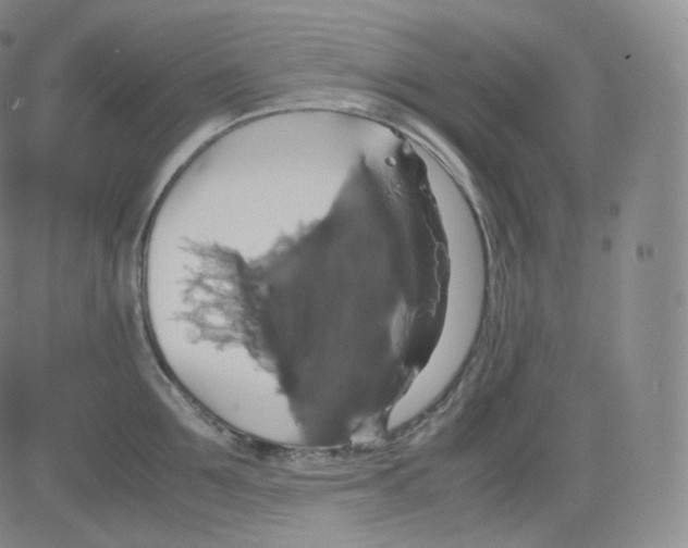 X0000082690907200702232201