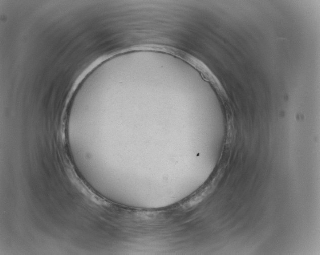 X0000082690908200702232201