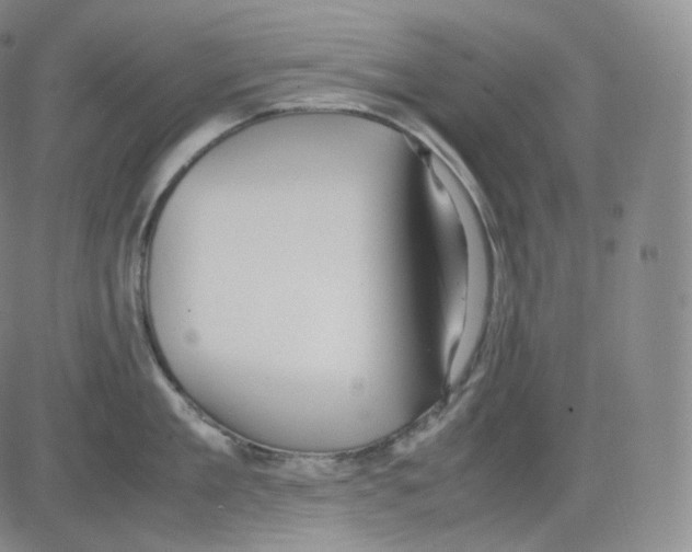 X0000082690909200702232201