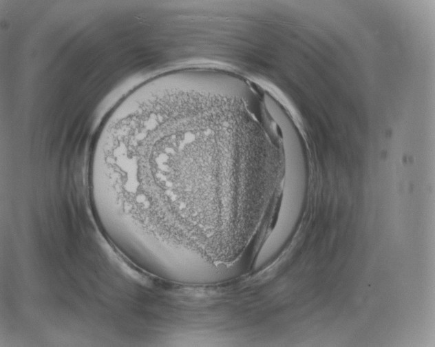 X0000082690910200702232201