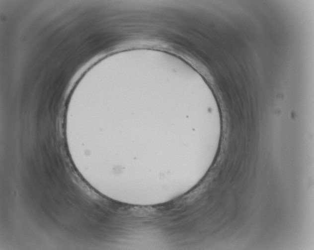 X0000082690912200702232201