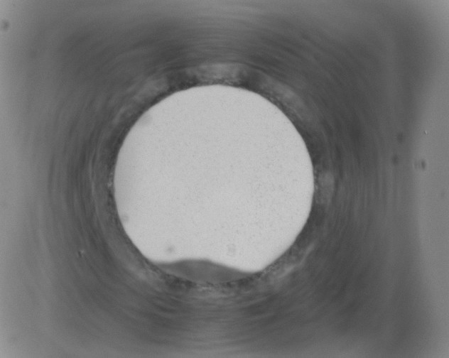 X0000082690913200702232200