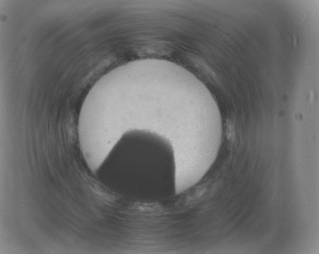 X0000082690915200702232200