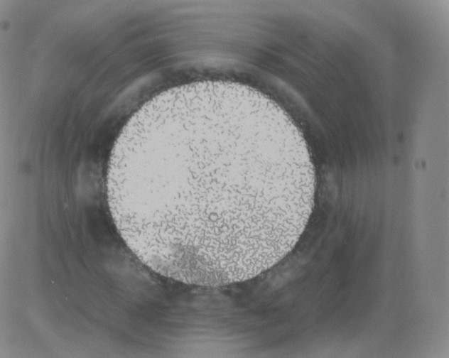 X0000082690918200702232200