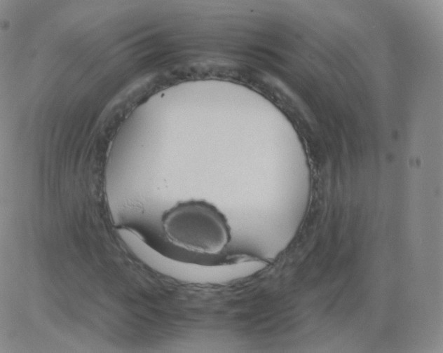 X0000082690919200702232200