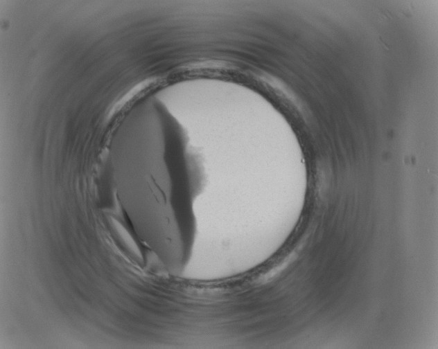 X0000082690921200702232200