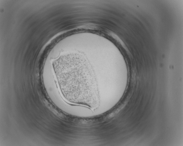 X0000082690923200702232200