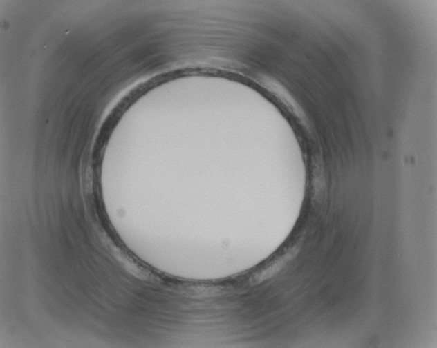 X0000082690924200702232200