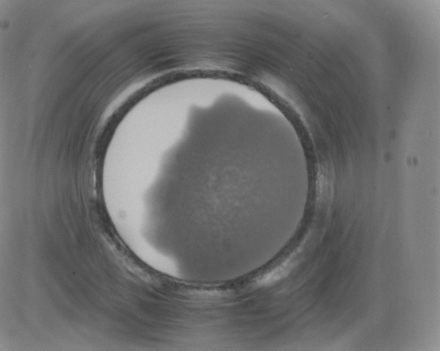 X0000082690925200702232200