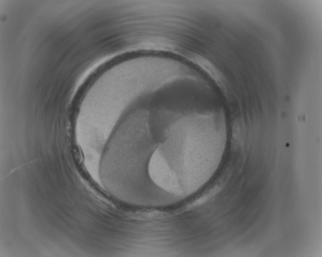 X0000082690926200702232200