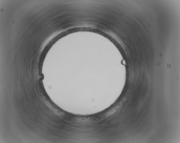 X0000082690927200702232200