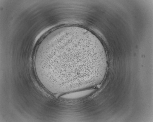 X0000082690928200702232200