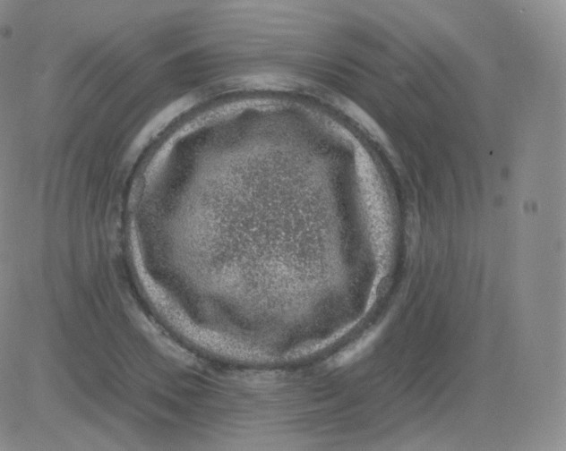 X0000082690930200702232200