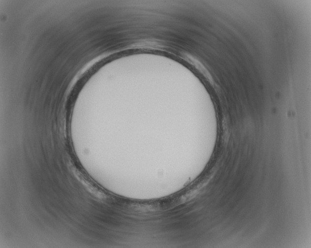 X0000082690931200702232200