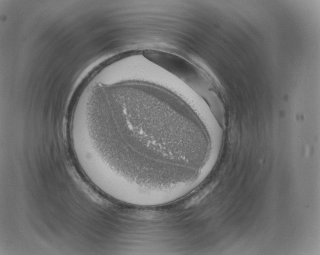 X0000082690932200702232200