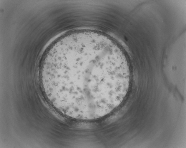 X0000082690933200702232200